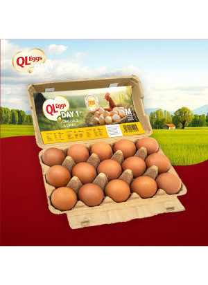 QL Omega & DHA Egg - Medium 20pcs/30pcs/40pcs Fresh Egg Farm Fresh Egg Telur Segar