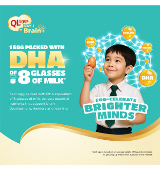 QL Brain + Egg - Large 20pcs Fresh Egg