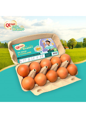 QL Brain + Egg - Large 20pcs Fresh Egg