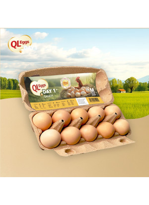 QL Sandy Day 1 Egg - Medium 20pcs/30pcs/40pcs