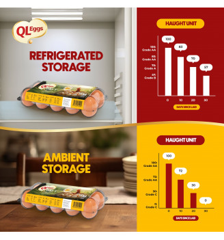 QL Omega & DHA Egg - Medium 20pcs/30pcs/40pcs Fresh Egg Farm Fresh Egg Telur Segar