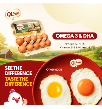 QL Omega & DHA Egg - Medium 20pcs/30pcs/40pcs Fresh Egg Farm Fresh Egg Telur Segar