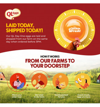 QL Omega & DHA Egg - Medium 20pcs/30pcs/40pcs Fresh Egg Farm Fresh Egg Telur Segar