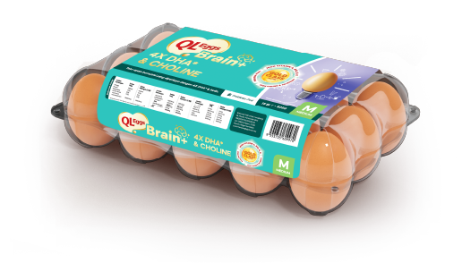 QL EGGS BRAIN+
